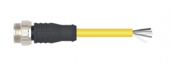 7/8 Pre-Molding Male Straight