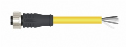 7/8 Pre-Molding Female Straight